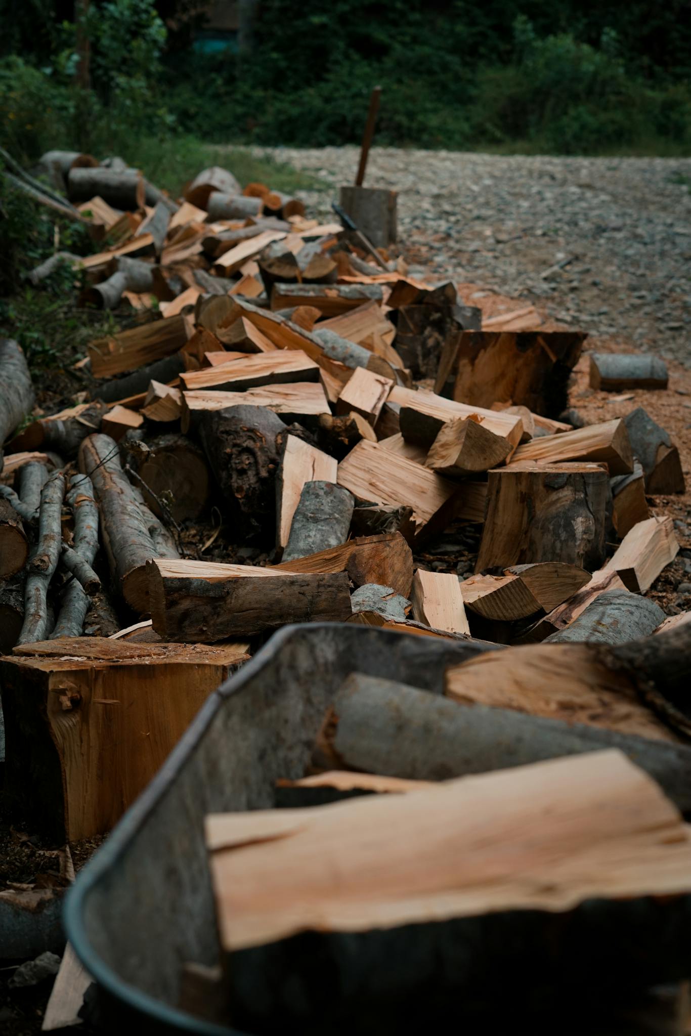A pile of wood logs on the ground
